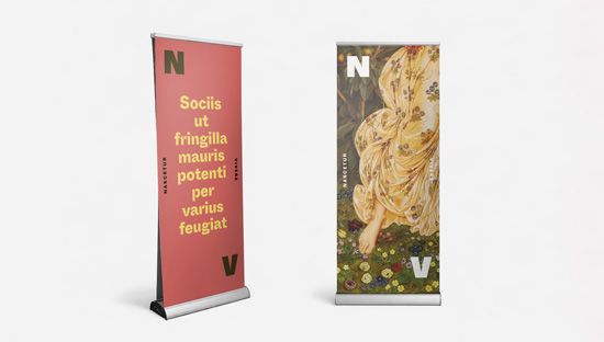 Estructura Roll up doble cara Premium 85x200ccm